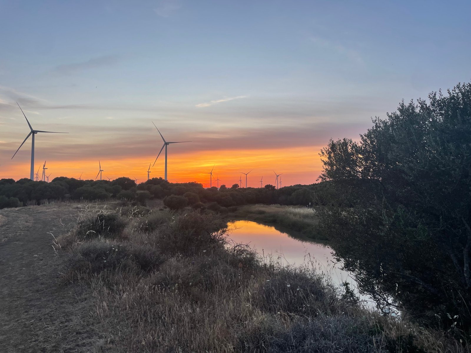 Zonsondergang boven het landschap bij Facinas